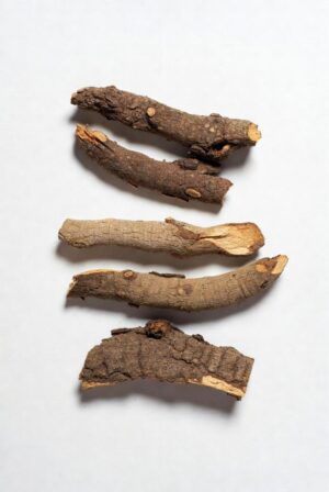 Where to get ibogaine treatment
