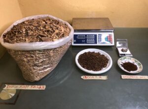 ibogaine for sale