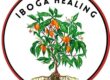 Where Can I Get Ibogaine Treatment in the US
