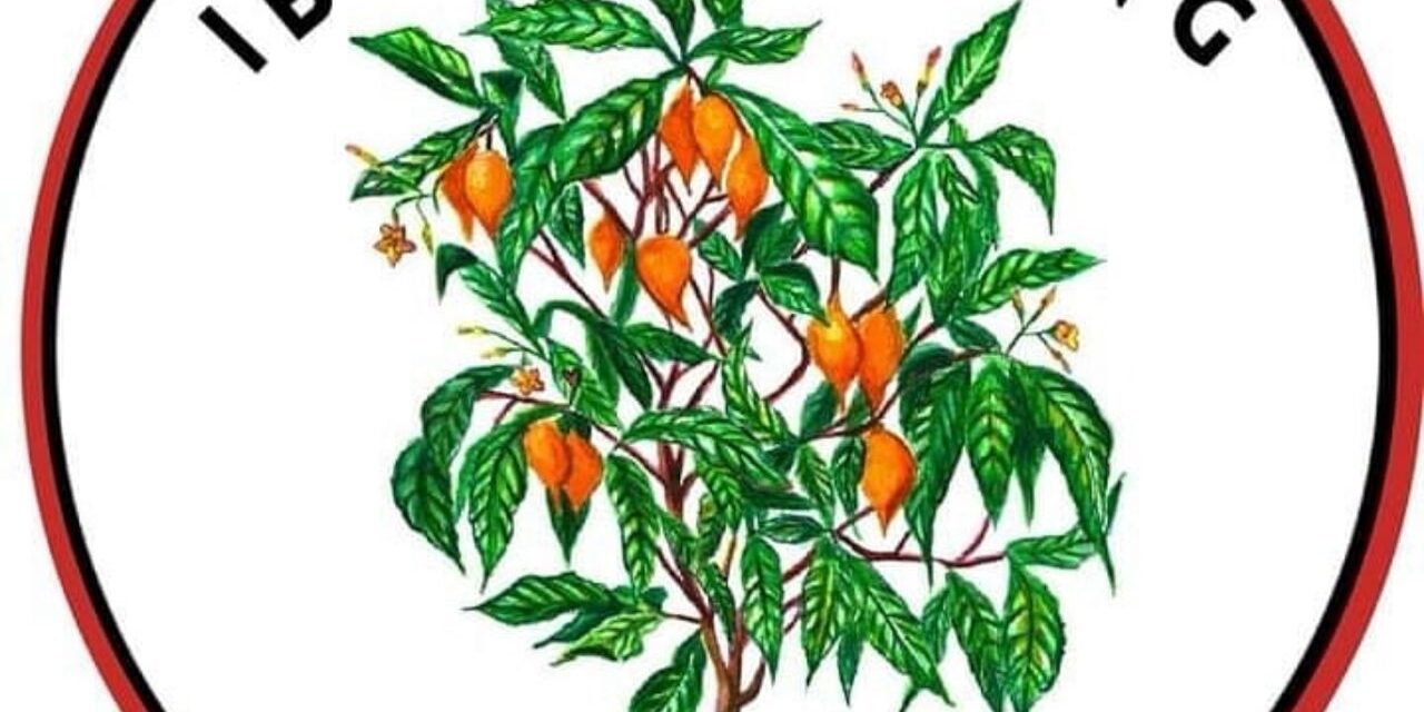 Where Can I Get Ibogaine Treatment in the US Where Can I Get Ibogaine Treatment in the US