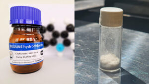purchase ibogaine online