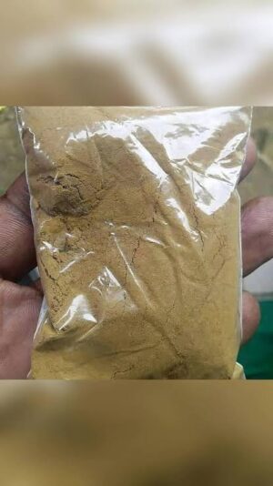 tabernanthe iboga for sale