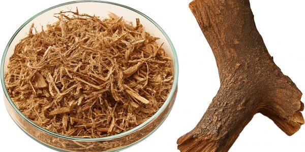Canada ibogaine treatment Canada ibogaine treatment