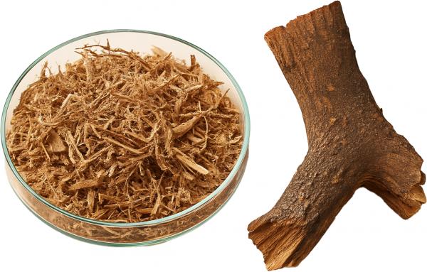 Canada ibogaine treatment