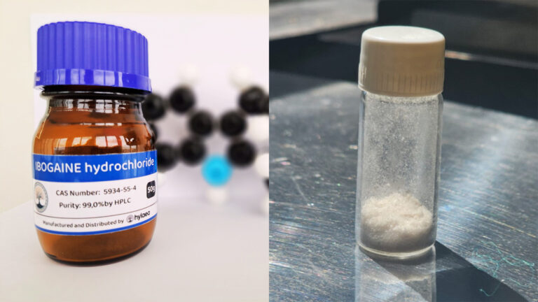 Ibogaine treatment Europe cost
