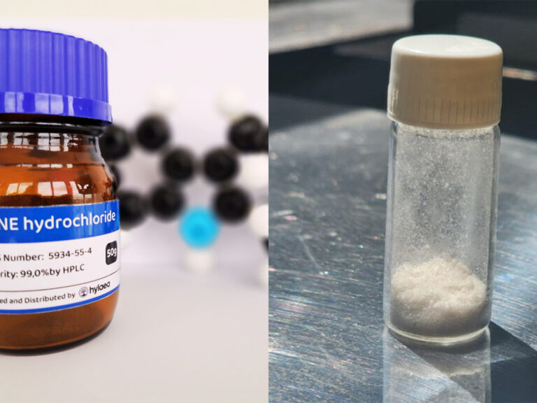 Ibogaine treatment Europe cost